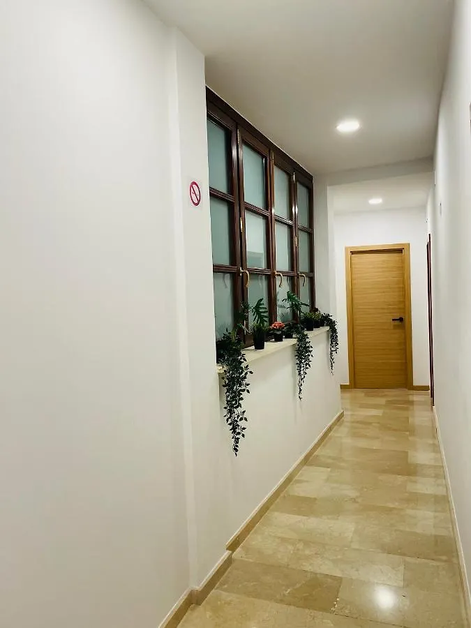Hostel City Room Feminine Malaga