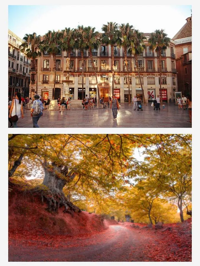 City Room Feminine Malaga Spain